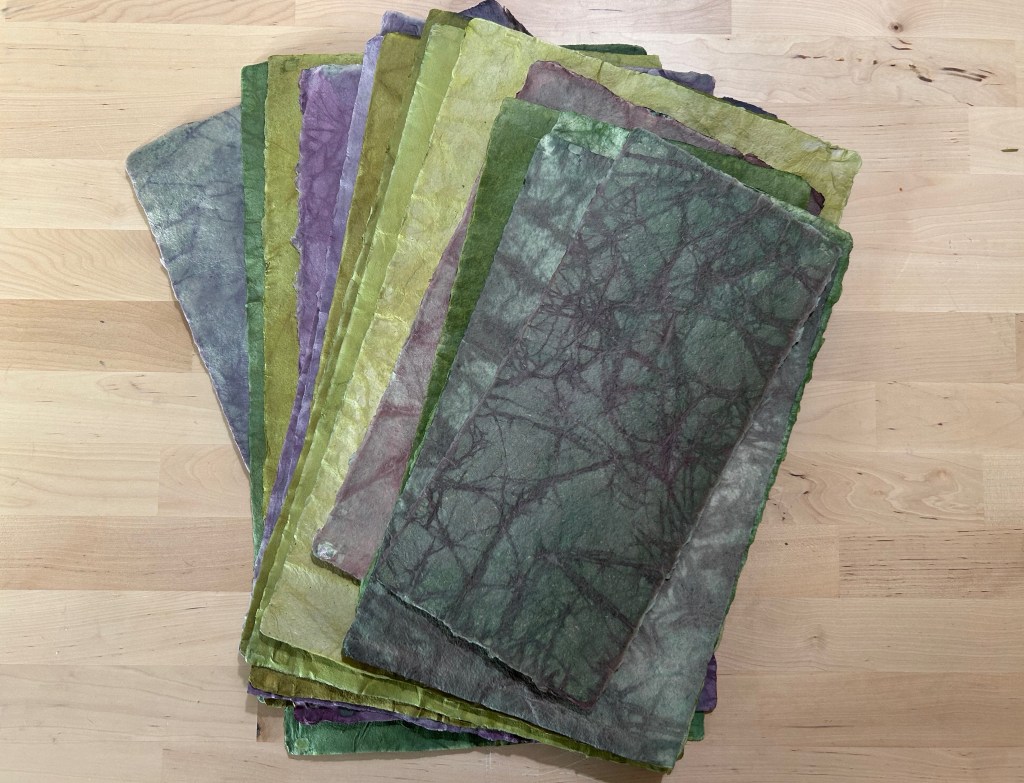 A fanned out stack of case weight flax paper dyed in several shades of green and purple using only buckthorn dye. 